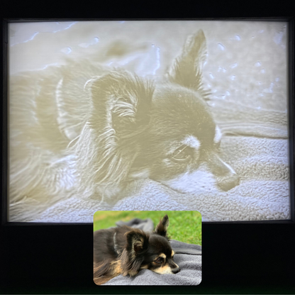 Lichtbild Lithophane